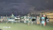 Quảng Ninh chạy đua thời gian khẩn cấp ứng phó bão số 1