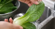 Rửa rau bằng nước muối: Sạch hơn hay chỉ là thói quen?