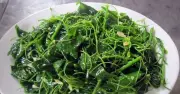 Rau bò khai: Đặc sản miền núi hỗ trợ tiêu hóa và thanh nhiệt