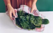 Rau chân vịt: 'Vua rau xanh' giàu dinh dưỡng, lợi ích sức khỏe vượt trội
