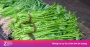 Rau muống: Lợi ích và thực phẩm không nên ăn cùng