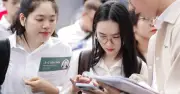 Rải CV hàng loạt: Có tăng cơ hội việc làm?