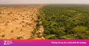 Rừng nhân tạo Trung Quốc tăng trưởng nhanh hơn rừng tự nhiên 66%