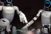 Robot hình người lần đầu mổ thành công trên lợn sống
