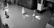 Robot nhỏ Erbai dụ 12 robot lớn bỏ trốn khỏi phòng trưng bày: Câu chuyện gây chấn động Trung Quốc