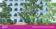 Sai phạm dự án Nhà khách Tỉnh ủy Huế: Hàng loạt cán bộ bị kỷ luật