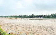 Siết chặt quản lý nuôi trồng thủy sản trái phép vùng ven biển Đồng bằng sông Hồng