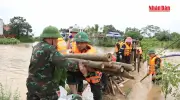 Siêu bão Yagi và thiên tai 2024-2025 gây thiệt hại nặng nề