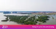 Siêu cảng Cái Mép Hạ hơn 50.000 tỷ đồng chính thức khởi công tại TP.HCM