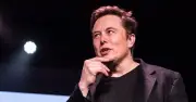 SpaceX bí mật phát triển thiết bị AI mỏng hơn iPhone, Elon Musk bác bỏ