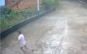 Sạt lở đá tảng ở Quảng Tây, cụ bà thoát chết nhờ phản xạ nhanh