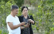 Từ 2026, người cao tuổi được khám sức khỏe miễn phí mỗi năm một lần