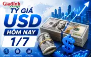 Tỷ giá USD hôm nay 1/7: Đồng đô la Mỹ tăng nhẹ, thị trường tự do ổn định