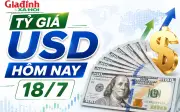 Tỷ giá USD hôm nay 18/7: Biến động trái chiều giữa ngân hàng và chợ đen