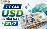 Tỷ giá USD hôm nay 21/7: Đô la Mỹ chợ đen giảm, ngân hàng đi ngang