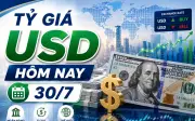 Tỷ giá USD hôm nay 30/7: Trung tâm lập đỉnh lịch sử 25.320 đồng, ngân hàng giảm nhẹ