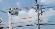 Tự hào 50 năm ngành điện TP.HCM: Những người thầm lặng giữ sáng thành phố