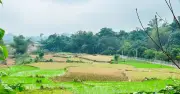 Đất nhận thừa kế có được giảm tiền sử dụng đất khi chuyển sang đất ở?