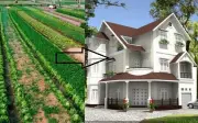 Đất nông nghiệp có nhà ở: Điều kiện chuyển sang đất ở theo Luật Đất đai 2024