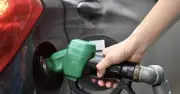 Thủ tướng chỉ đạo không loại trừ doanh nghiệp bán dầu cam chung chờ tăng giá