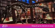 Thư viện Lịch sử Trí tưởng tượng: 30.000 hiện vật quý của nhân loại