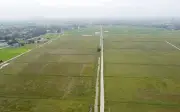 Thanh Hóa: 60 ha đất chờ dự án cụm công nghiệp Quảng Yên nhiều năm
