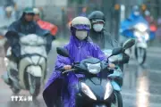 Thời tiết 3/7: Áp thấp nhiệt đới mạnh lên thành bão, Đông Bắc Bộ và Thanh Hóa mưa rất to