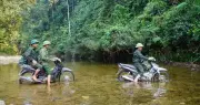 Thiếu kinh phí, 58 lao động dân tộc thiểu số phải tạm dừng bảo vệ rừng