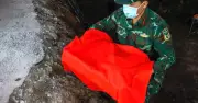 Thêm 19 hài cốt liệt sĩ được quy tập tại công viên Lê Thị Riêng