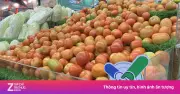 Thêm 2 nhà cung cấp tham gia 'Tick xanh' của TP.HCM