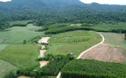 Thôn Thanh Niên: 17 năm chờ sổ đỏ, 'thanh niên' U50 mỏi mòn