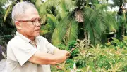 Thương binh mất hai tay vượt khó, làm kinh tế giỏi ở Bến Tre