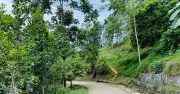 Thông tin tri thức mở lối thoát nghèo cho người dân vùng cao Cảnh Tân