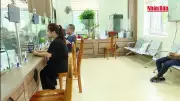 Tinh gọn bộ máy: Sắp xếp đơn vị sự nghiệp công lập theo chủ trương của Đảng