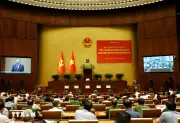 Tiếp tục hoàn thiện mô hình chính quyền 3 cấp từ thực tiễn địa phương