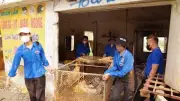 Tạo đồng thuận giải phóng mặt bằng: Kinh nghiệm từ thực tiễn