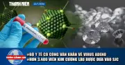 Toàn cảnh 17h: Hơn 3.400 viên kim cương lậu vào SJC, Bộ Y tế ra công văn khẩn về virus Adeno