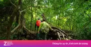 Tour thám hiểm rừng Cát Tiên hút khách, đặt trước đến cuối năm