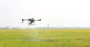 TP.HCM: Chuyển đổi số là động lực phát triển nông thôn bền vững