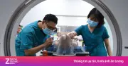 TP.HCM khám sức khỏe miễn phí cho 15 triệu dân: 64,3% phát hiện bệnh