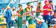 TP.HCM kiểm soát chặt tàu cá, chống khai thác IUU hiệu quả