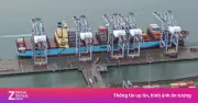 TP.HCM miễn phí hạ tầng cảng biển 3 năm, doanh nghiệp giảm chi phí logistics