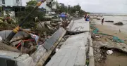 Trà Cổ tan hoang sau bão số 1: Rừng dương cổ thụ gãy đổ hàng loạt