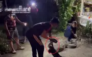 Trăn khổng lồ dài 3m nuốt chửng hai con mèo ở Thái Lan