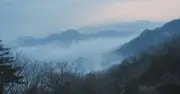 Tuyển 'thợ săn mây' trên núi, lương 230 triệu đồng/tháng gây xôn xao