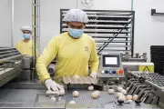 Tây Ninh lấy ESG làm thước đo thu hút đầu tư chất lượng cao