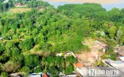 Đấu giá lần 2 khu đất 'đắp chiếu' hơn 194 tỷ đồng ở Huế vẫn ế