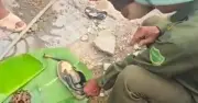 Vụ dọn cỏ phát hiện hộp sọ ở Nghệ An: Danh tính nạn nhân đã rõ