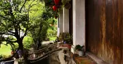 Vợ nhờ bạn chỉ cách đuổi khéo mẹ chồng về quê sau 1 tháng ở chung