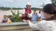 Vỡ đập hồ chứa Lục Lam tại Nam Ninh: 26 người chết, 7 mất tích